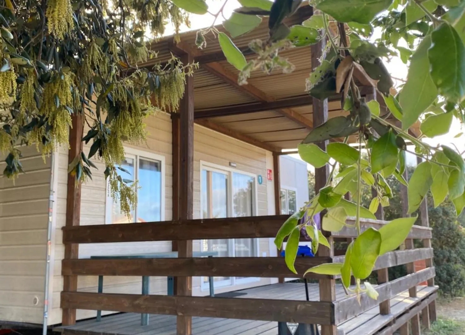 Camping Internazionale Di Castelfusano Lido di Ostia 0*,